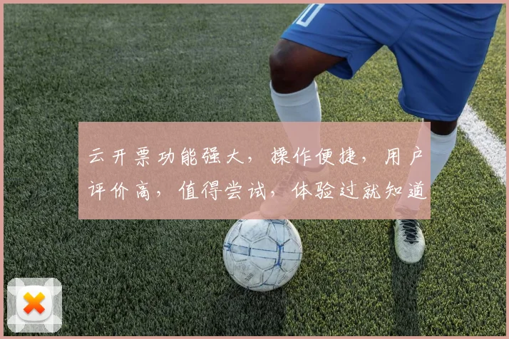 云开票功能强大，操作便捷，用户评价高，值得尝试，体验过就知道。