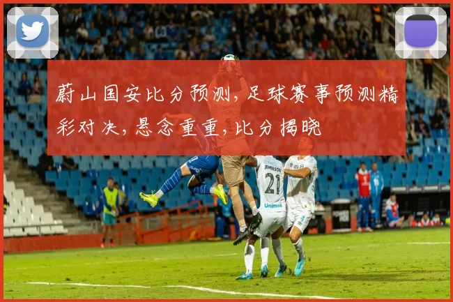 蔚山国安比分预测,足球赛事预测精彩对决,悬念重重,比分揭晓