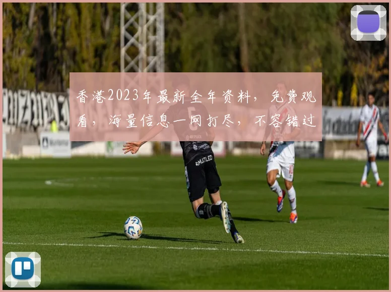 香港2023年最新全年资料，免费观看，海量信息一网打尽，不容错过