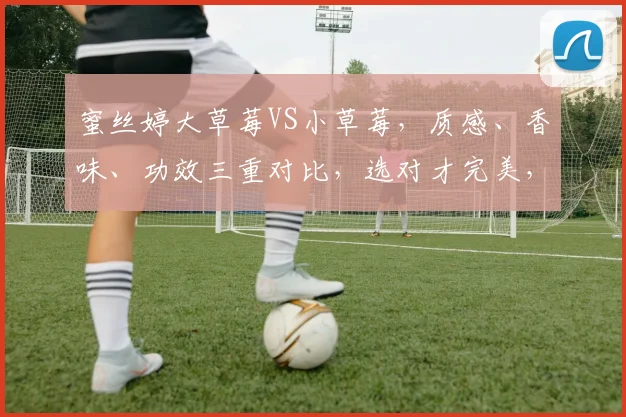 蜜丝婷大草莓VS小草莓，质感、香味、功效三重对比，选对才完美，不容错过