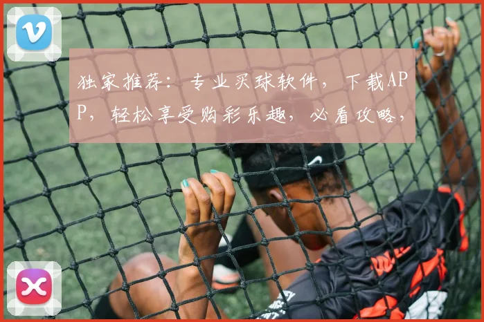 独家推荐：专业买球软件，下载APP，轻松享受购彩乐趣，必看攻略，两步轻松上手