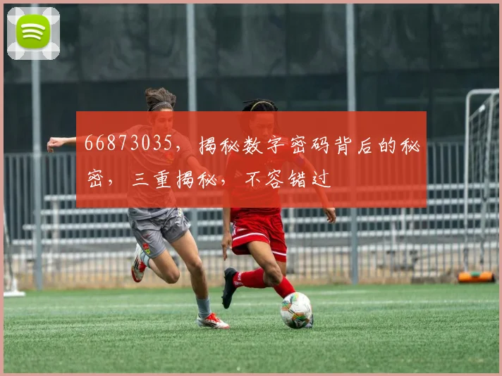 66873035，揭秘数字密码背后的秘密，三重揭秘，不容错过