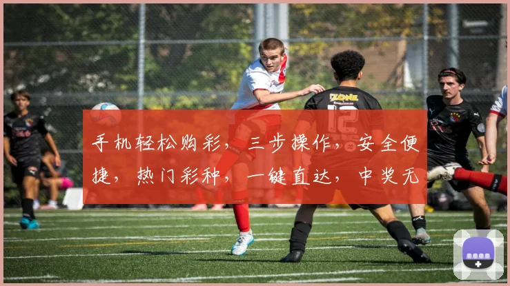 手机轻松购彩，三步操作，安全便捷，热门彩种，一键直达，中奖无忧