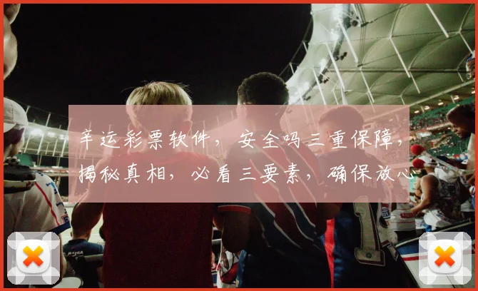 辛运彩票软件，安全吗三重保障，揭秘真相，必看三要素，确保放心投注